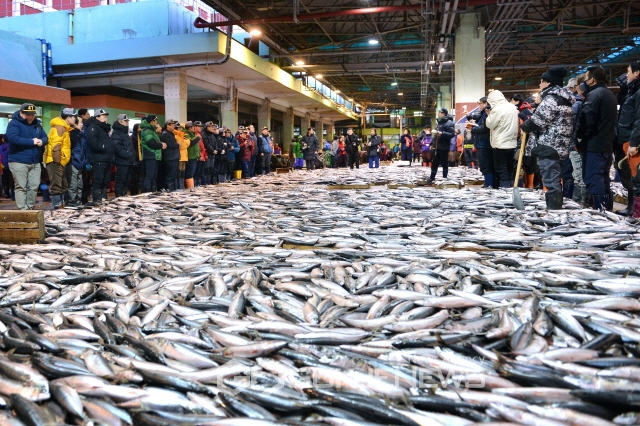 국내 최대 연근해 수산물 위판장인 부산공동어시장 [사진=부산시 제공]