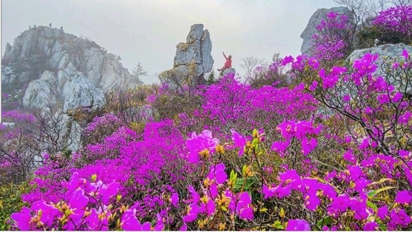 배낭을 메고 앉자 있는 모습 바위