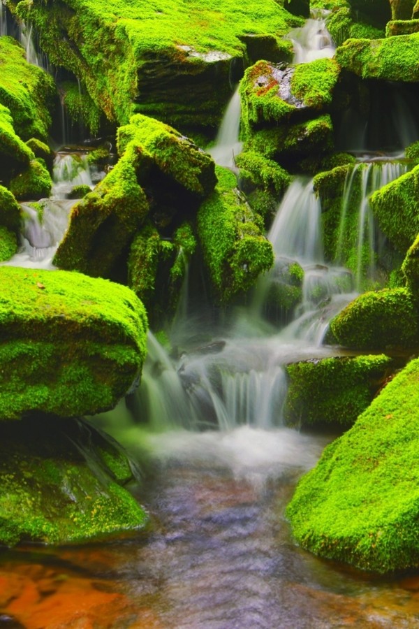 장전계곡 이끼폭포