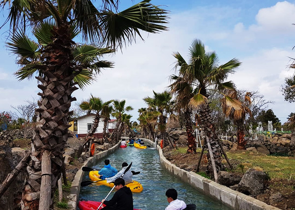 비체올린 페이스북 캡처