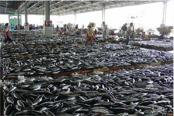 부산공동어시장 