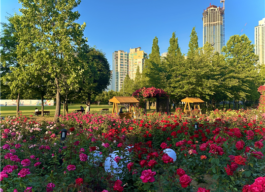 송도 해돋이공원