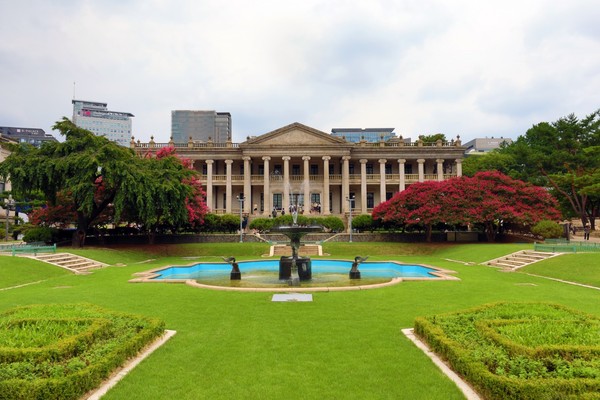 덕수궁내 베롱나무