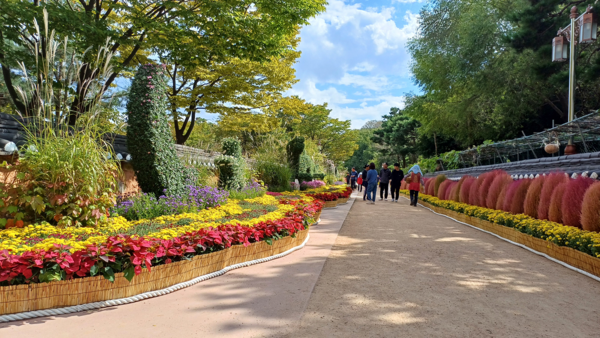 ‘2024년 인천 국화 전시회’