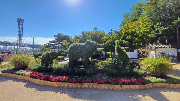 ‘2024년 인천 국화 전시회’