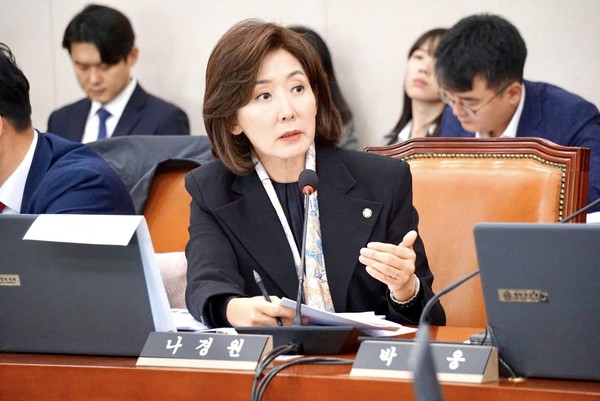 사진=나경원 의원실 제공