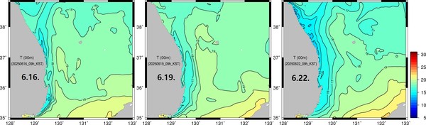 동해 냉수대 예측 시스템으로 냉수대 분포 및 확장을 예측한 결과(제공=수산과학원)