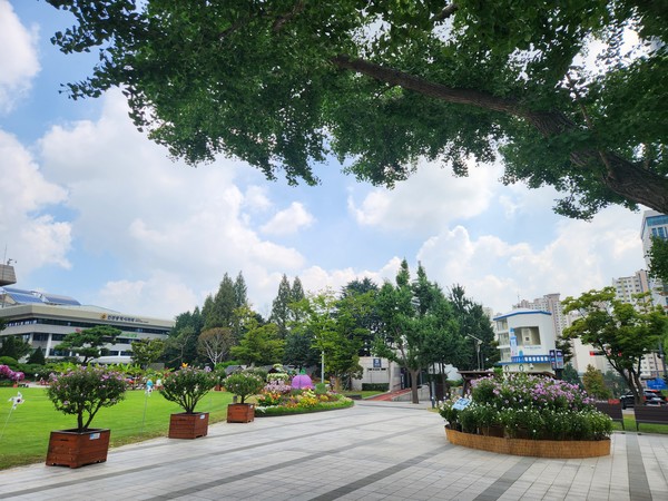 인천광역시가 광복 80주년을 기념해 인천시청 앞 애뜰광장에서 무궁화 전시회를 개최한다.(사진=인천시)