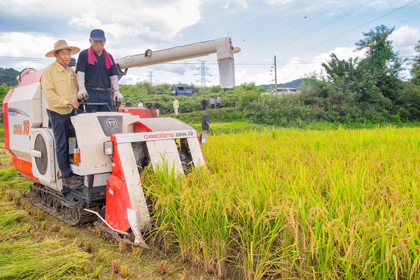강원 고성군은 올해 첫 벼 베기를 지난 8월 19일 간성읍 교동리 함종운 농가(약 900평)에서 실시했다고 밝혔다.(사진=고성군 제공)
