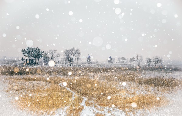 펑 ~! 펑!(소래습지에 눈내리는 풍경)