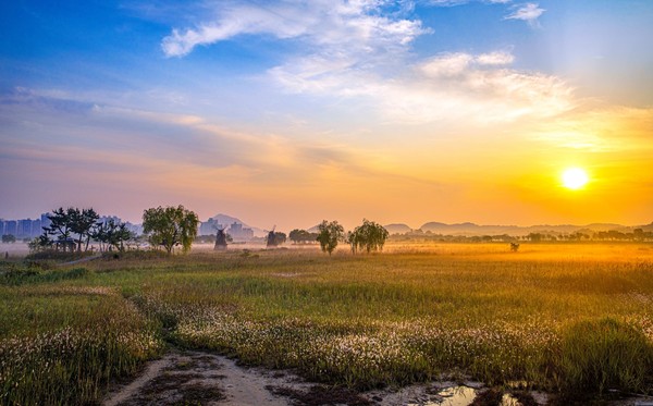 소래습지 전경(입구 데크에서)