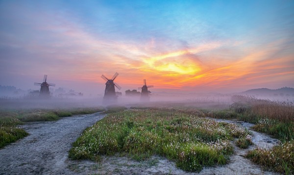 소레습지 풍차 풍경