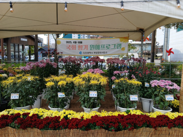  ‘국화 향기 원예프로그램’ 수강생 작품전시회