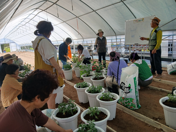 국화향기 원예프로그램 강좌