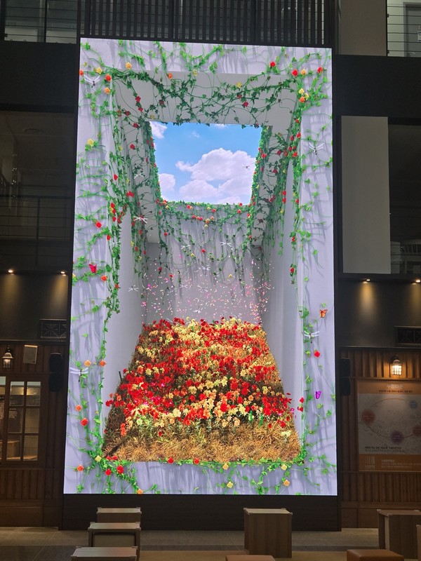 누들프렛폼 영상 콘텐츠