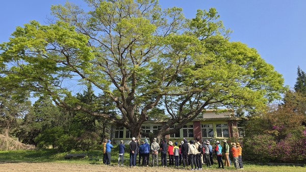 원주시는 다음 달 25일 부론면과 귀래면 일원에서 ‘원주역사문화트레킹: 단종유배길 원주구간’을 개최한다.(사진=원주시 제공)